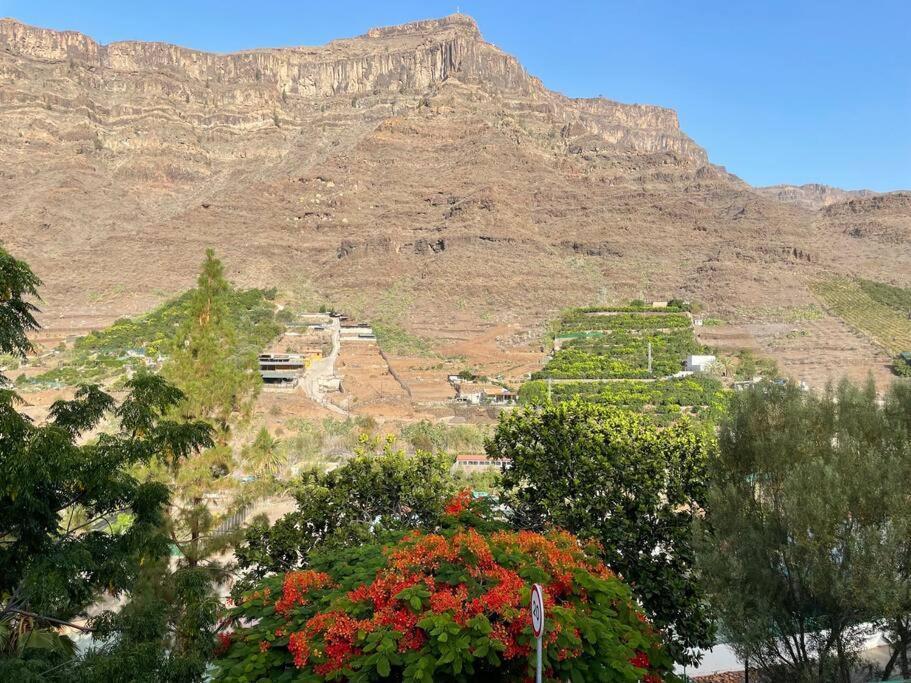 Cycling Holiday, 11 Km From Arguineguin Las Casillas  Extérieur photo