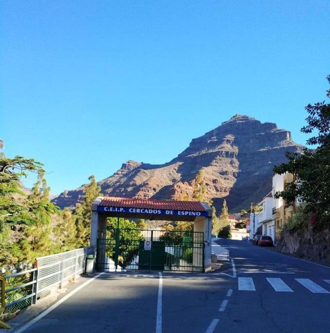 Cycling Holiday, 11 Km From Arguineguin Las Casillas  Extérieur photo