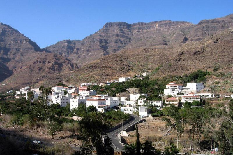 Cycling Holiday, 11 Km From Arguineguin Las Casillas  Extérieur photo